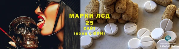 дживик Вязьма