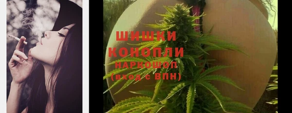 дживик Вязьма