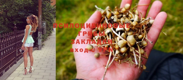 соль ск Вязники
